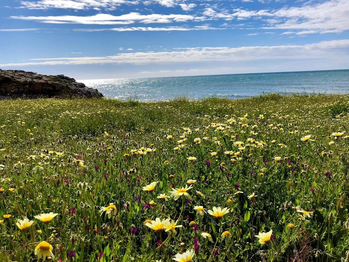 Apartamento Punta Del Faro Torrox
